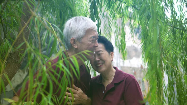 Счастливая старшая азиатская пара в отставке смеется под зеленым фоном ивы — стоковое фото
