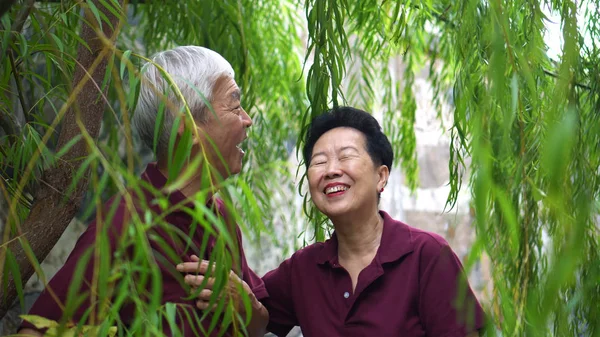 Glückliches asiatisches Rentnerehepaar lacht unter grünem Weidenbaumhintergrund — Stockfoto