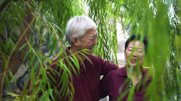 Gelukkig gepensioneerd aziatisch senior paar lachen onder groen wilg boom achtergrond — Stockfoto