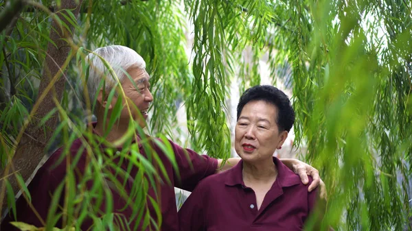 Gelukkig gepensioneerd aziatisch senior paar lachen onder groen wilg boom achtergrond — Stockfoto