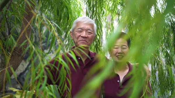 Glückliches asiatisches Rentnerehepaar lacht unter grünem Weidenbaumhintergrund — Stockfoto