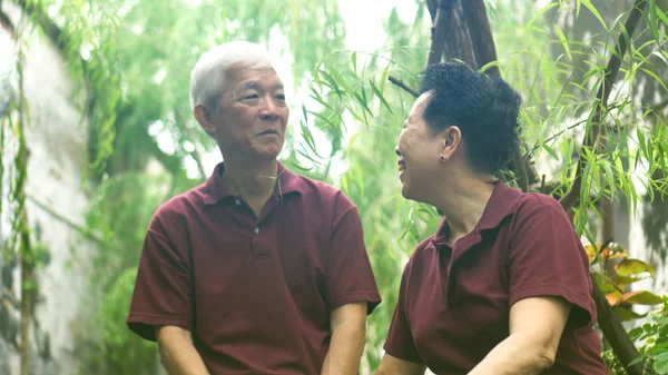 Happy retired Asian senior couple laughing under green willow tree background — 스톡 사진