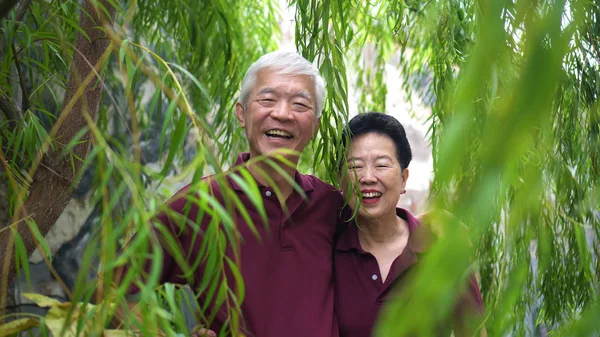 Happy retired Asian senior couple laughing under green willow tree background