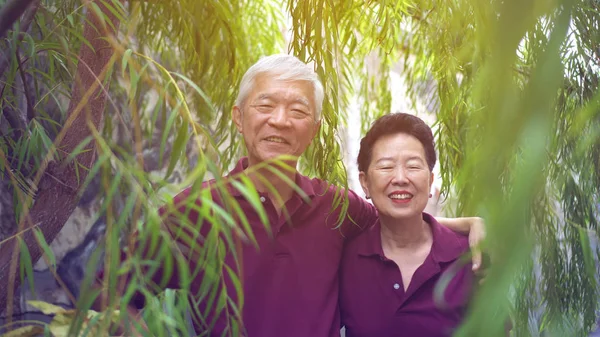 Glückliches asiatisches Rentnerehepaar lacht unter grünem Weidenbaumhintergrund — Stockfoto