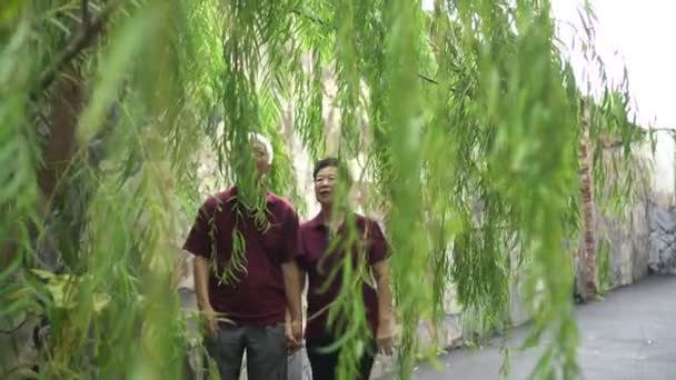 Heureux Asiatique Aîné Couple Marche Travers Saule Arbre Dans Parc — Video