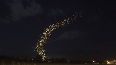 Tayland 'ın Loi krathong festivali uzak bir perspektiften süzülen bir çizgiyi destekliyor