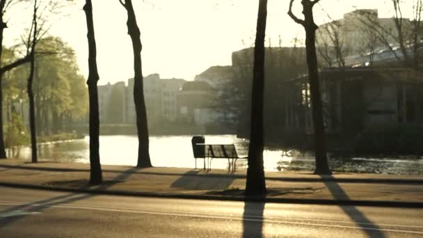 Pôr Sol Quarentena Tranquila Parque Amsterdam Netherland Assentos Lado Canal — Vídeo de Stock
