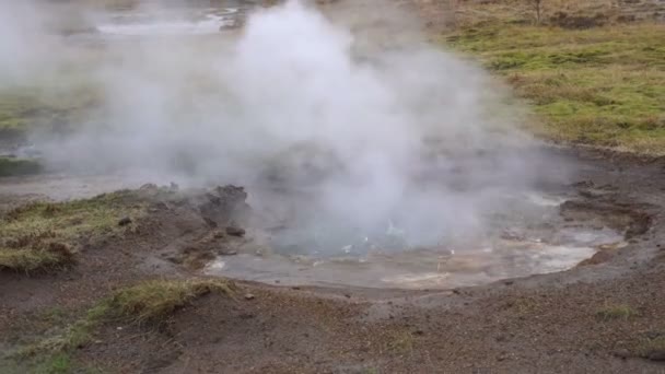 アイスランドにある天然のガイザー温泉 — ストック動画