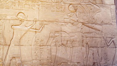 Luxor Mısır Karnak tapınağı kum taşı hiyeroglfik duvar ve sütun firavun ve atalarının hikayesi için can atıyordu.