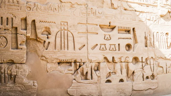 Luxor Mısır Karnak Tapınağı Kum Taşı Hiyeroglfik Duvar Sütun Firavun — Stok fotoğraf