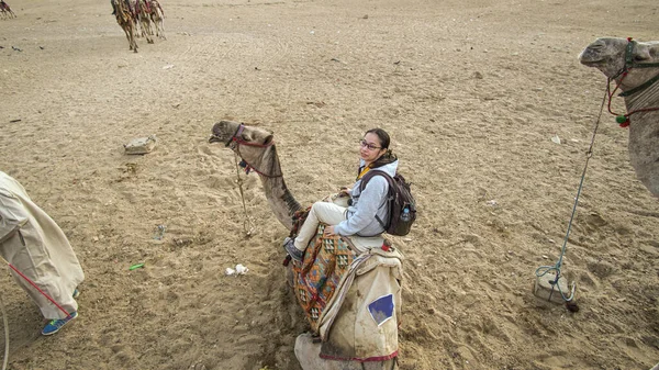 Asian woman riding camel  at Giza pyramid Egypt scary activity for tourist