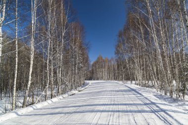 Karla kaplı yol ağaç arasında
