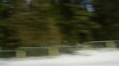 Hızlı hareket eden bir trenin penceresinden görüntülemek