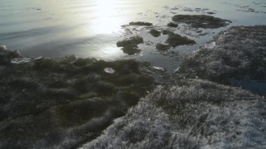 Denizde sürüklenen buz.