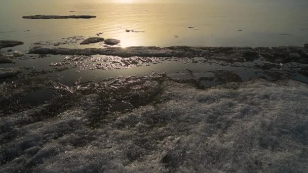 Drivande is på havet. — Stockvideo