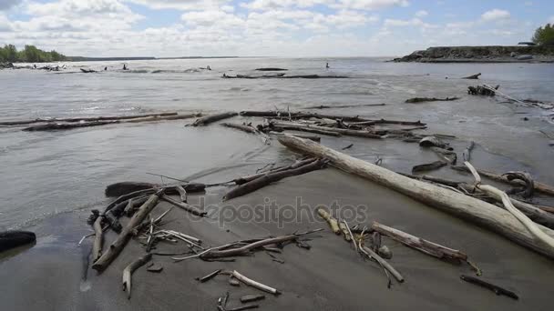 La rive de la rivière, des vagues d'eau de fonte sale éclaboussent sur les chicots — Video