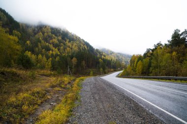 Federal Otoyol M-52 Chuysky yolu, asfalt yol ile işaretler sonbahar ağaçları arasında.