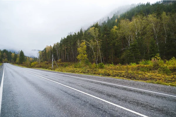 Federal highway M-52 Chuysky tract, asphalt road with markings among the autumn trees. — Stock Photo, Image