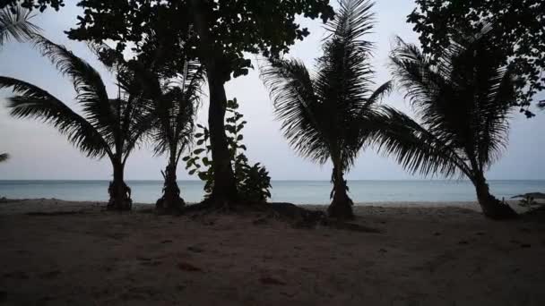 Les palmiers se balancent dans le vent sur le rivage. Île de Koh Chang. Thaïlande .