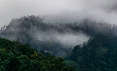 Sikkim 'de sisli ve bulutlu güzel bir dağ manzarası. 