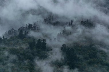 Sikkim 'de sisli ve bulutlu güzel bir dağ manzarası. 