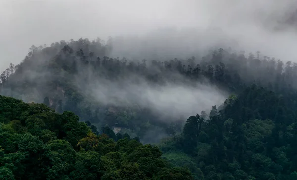 Ein Schöner Bergblick Mit Nebel Und Wolken Yuksom Sikkim — Stockfoto