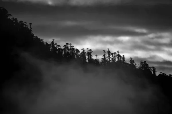 Una Hermosa Vista Montaña Con Niebla Nubes Yuksom Sikkim —  Fotos de Stock