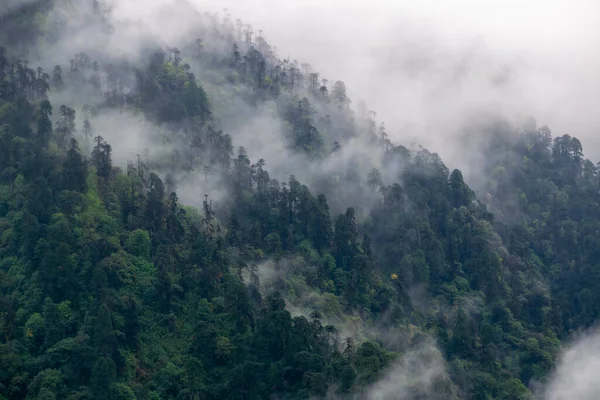 多雾多云的美丽的山景 — 图库照片