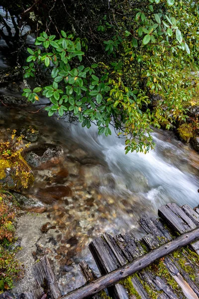 Поток Водопадов Течет Мостом — стоковое фото