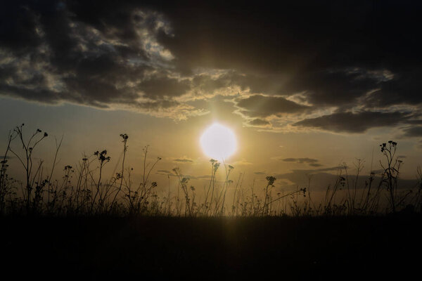 Blurred defocused dark landscape. Sunset over field with dry plants