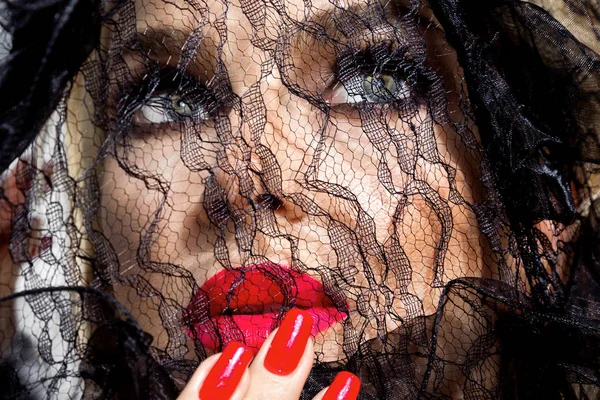 Portrét krásné ženy s úžasnou tváří pokryté černou krajkou a smyslné make-up — Stock fotografie