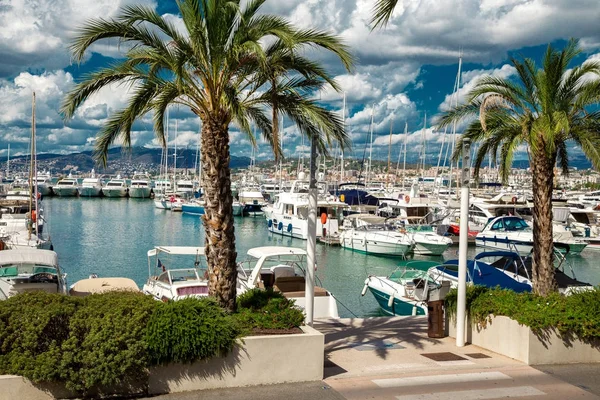 Vue imprenable sur la ville de Cannes, France, palmiers, yachts et ciel azur — Photo