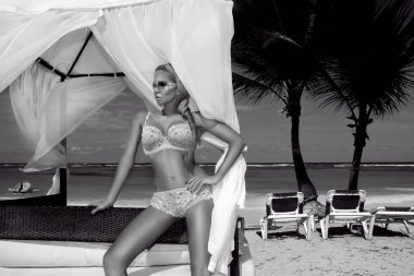 Seksi sarışın saç modeli sağlam gövde ve mükemmel şekil, ile yatıyor beyaz kum ve palmiye ağaçları ve Karayip Denizi bir bikini bir palmiye ağacı üzerinde ve içinde belgili tanımlık geçmiş olduğunu. Karayipler, Dominik Cumhuriyeti.