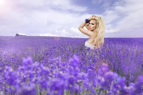 Novia en el día de la boda en el campo de lavanda — Foto de Stock