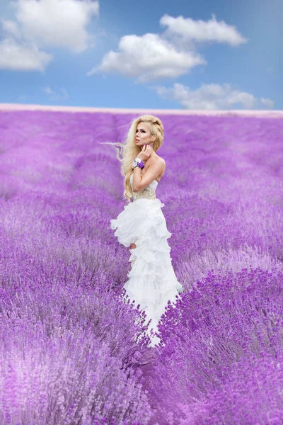 Noiva no dia do casamento no campo de lavanda — Fotografia de Stock