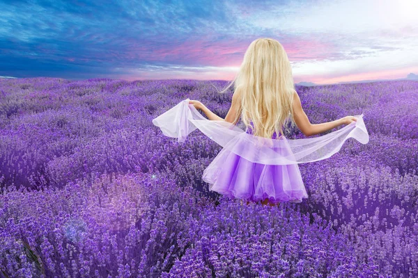 Bride in wedding day in lavender field Stock Image