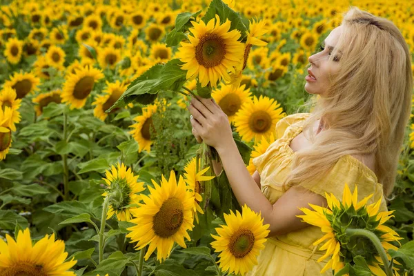 Mulher loira bonita de pé em um prado com girassóis e sorrindo feliz — Fotografia de Stock