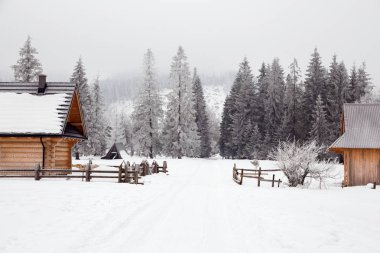 Güzel kar manzara dağlarda. Kış Güzellik Noel.