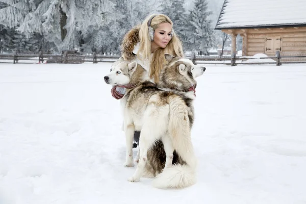 Piękna Blondynka Kobieta Stojąc Śniegu Trzyma Psy Husky Tle Jest — Zdjęcie stockowe