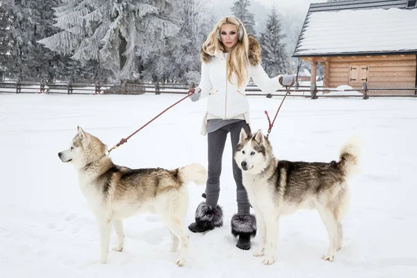 Красива Блондинка Жінка Стоячи Снігу Проведення Husky Собак Задньому Плані — стокове фото