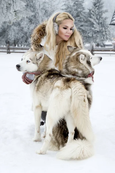 Mulher Loira Bonita Neve Segurando Cães Husky Fundo Uma Bela — Fotografia de Stock