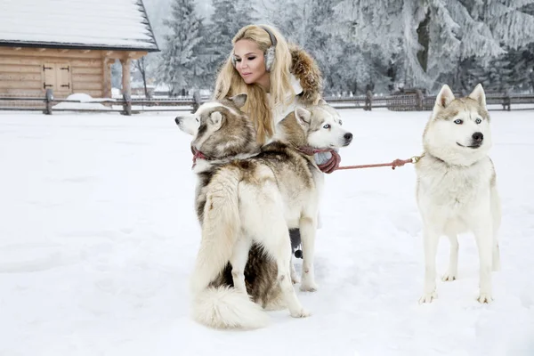 Piękna Blondynka Kobieta Stojąc Śniegu Trzyma Psy Husky Tle Jest — Zdjęcie stockowe