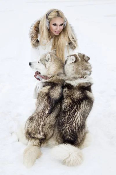 Piękna Blondynka Kobieta Stojąc Śniegu Trzyma Psy Husky Tle Jest — Zdjęcie stockowe