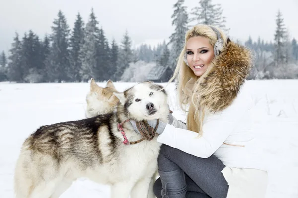 Piękna Blondynka Kobieta Stojąc Śniegu Trzyma Psy Husky Tle Jest — Zdjęcie stockowe