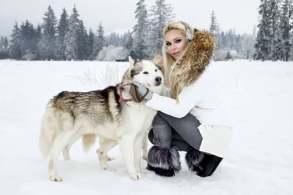 Hermosa Mujer Rubia Pie Sobre Nieve Sosteniendo Perros Husky Fondo — Foto de Stock