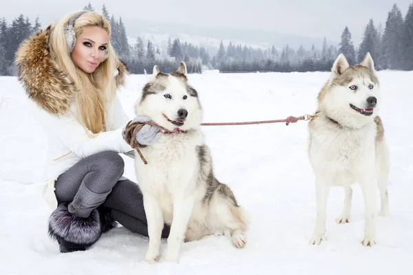 Piękna Blondynka Kobieta Stojąc Śniegu Trzyma Psy Husky Tle Jest — Zdjęcie stockowe