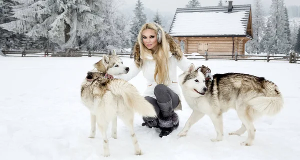 Piękna Blondynka Kobieta Stojąc Śniegu Trzyma Psy Husky Tle Jest — Zdjęcie stockowe