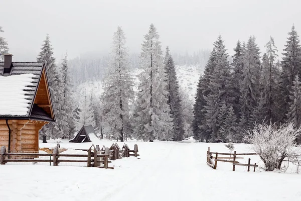Beautiful Snow Landscape Mountains Winter Beauty Christmas — Stock Photo, Image
