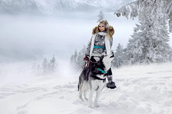 Красива Блондинка Жінка Стоячи Снігу Проведення Husky Собак Задньому Плані — стокове фото
