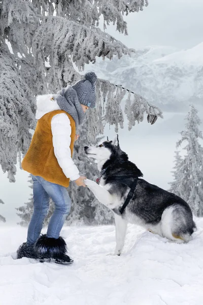 Menina Loira Bonito Jogando Neve Com Cão Husky — Fotografia de Stock